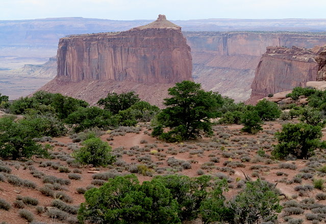 canyonland-to-deadhorse-016