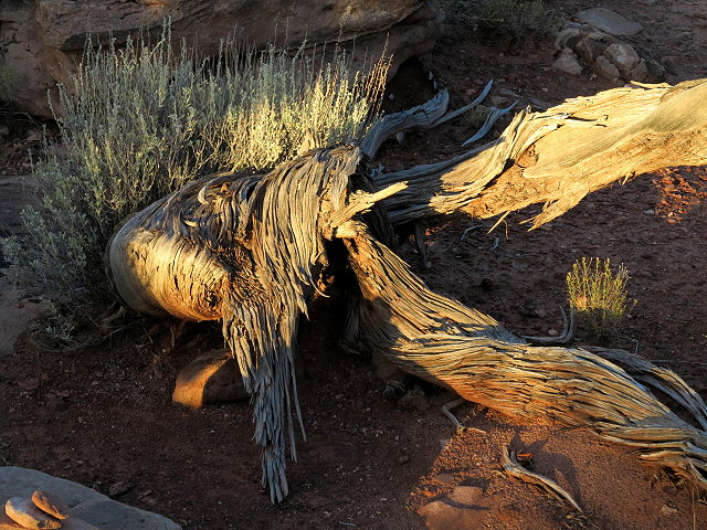 canyonland-to-deadhorse-101