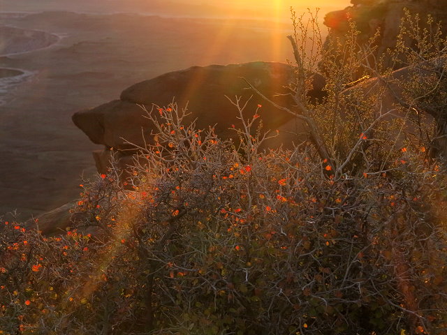 to-canyonland-243