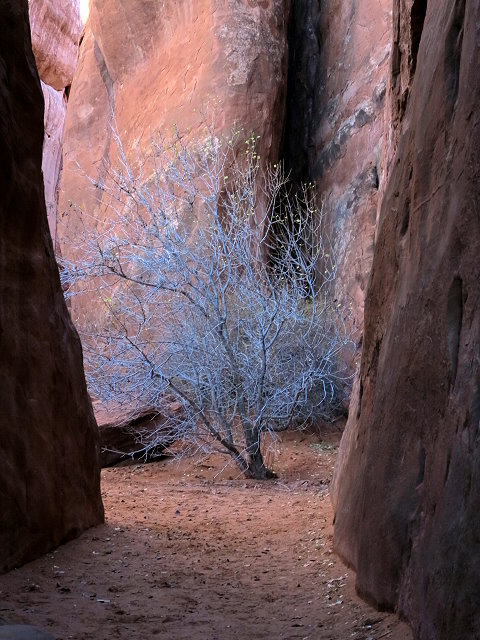 arches-deadhorse-053