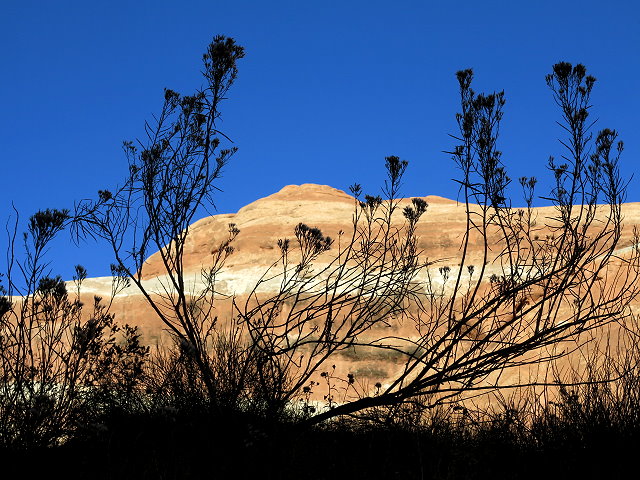 arches-deadhorse-070