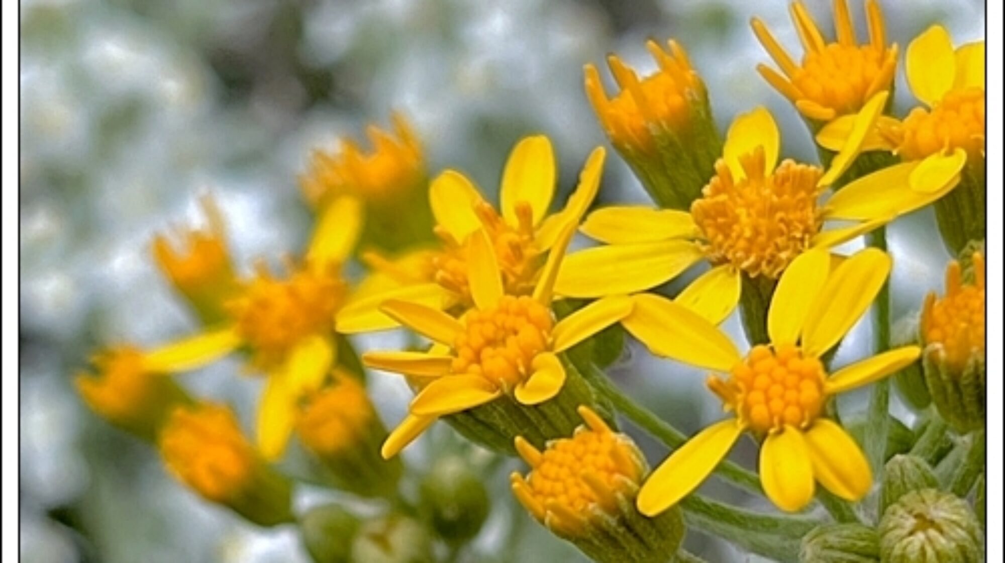 Quiet Walk Photography - Blog