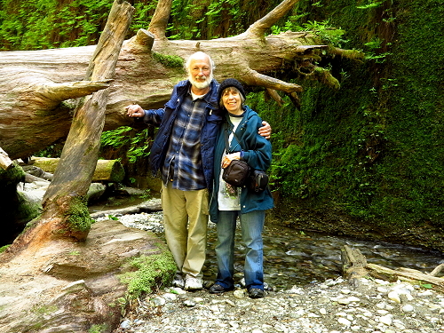 Road Trip – Visit to Fern Canyon – May 2015