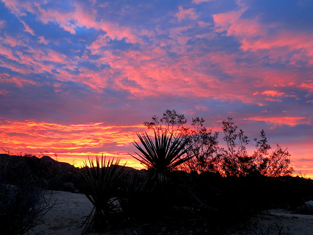 Winter Journey – Beautiful Cloud Day at Joshua Tree NP – February 2017