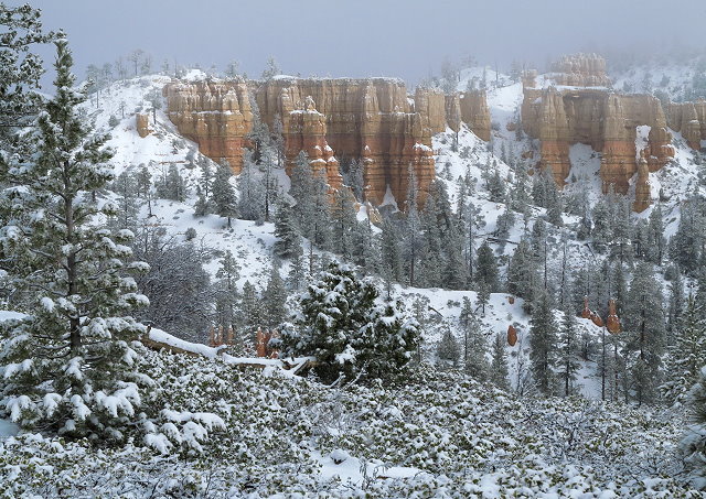 Winter Journey – Snow in Bryce Canyon– March 2017 (31)