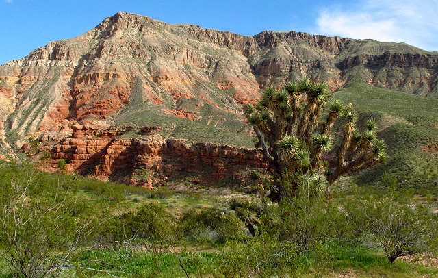 Winter Journey – More Virgin River – March 2017