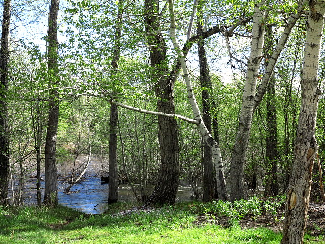 Spring Journey – Divide Bridge Campground – May 2017 (14-15)