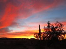 Arizona Desert Days – January 2018
