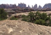 Canyonlands Needles District – July 2018