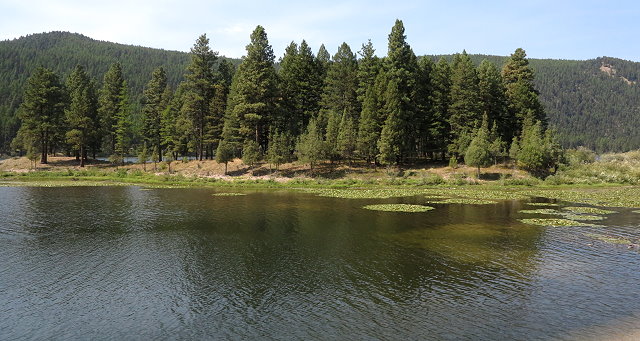 Island in a lake in the Seeley-Swan Valley