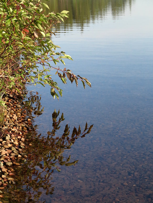 Morning walk by the lake