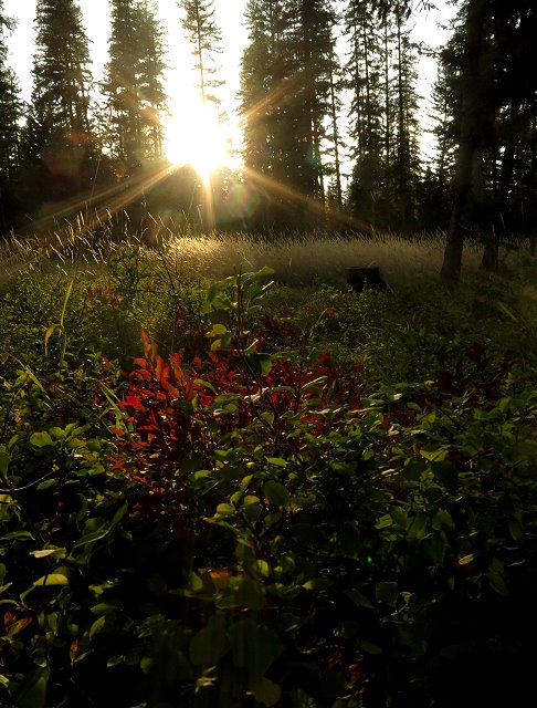 Sundown at Seeley Lake Campground