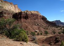 Visit to Capitol Reef National Park – October 2018