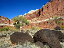 Another Visit to Capitol Reef National Park – October 2018