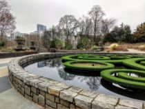 Atlanta Botanical Gardens and Medieval Times – February 2019