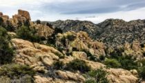 Hiking Cochise Trail – March 2019