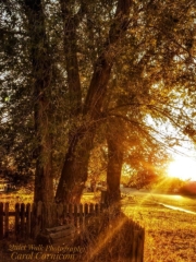 Oh, the wonder and magic that awaits just outside the gate.