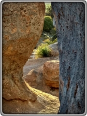 #highervibration Day 241 - A secret place, a treasure to be found by one who walks in the rocks.