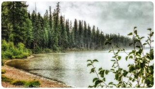 Day 56 - There is such a peacefulness walking along a lake on a rainy autumn morning.  I am enveloped in rain and peace.