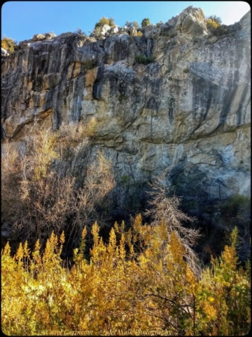 Day 54 - Grey cliffs eons-old and autumn foliage soon to disappear into winter.... they complement each other, as do other aspects of Life.