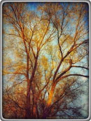 #highervibration Day 199 - One splash of sunlight just as the sun drops down behind the mountain - a moment of magic!