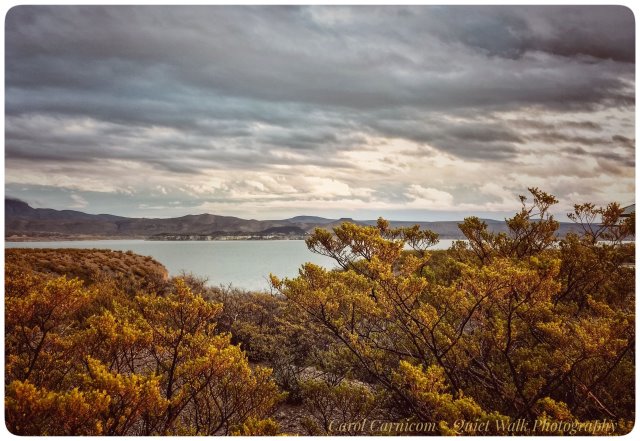 The shrubs, the lake, the sky.... they ask only to be what they are meant to be in this world. Shrubs, a lake, sky... There is a lesson here....