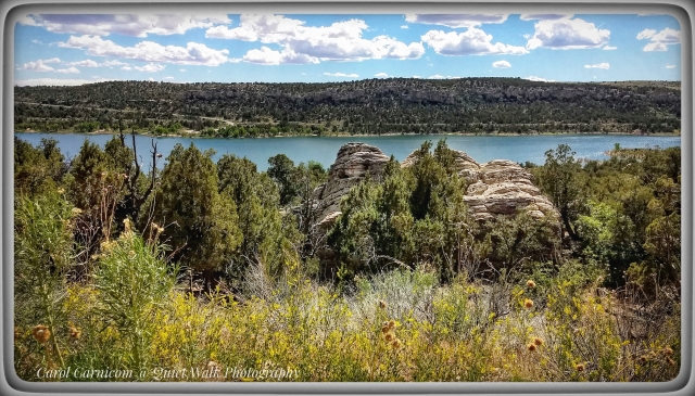 #highervibration Day 230 - The loveliness of water in an arid region cannot be overstated. Every tree, shrub, and blade of grass knows, all creatures know that water is the gift that sustains life. May we all be mindful and respectful.